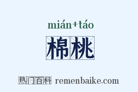 棉桃是什么意思的图片